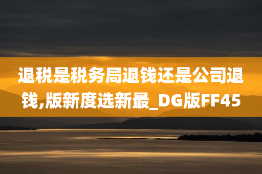 退税是税务局退钱还是公司退钱,版新度选新最_DG版FF45