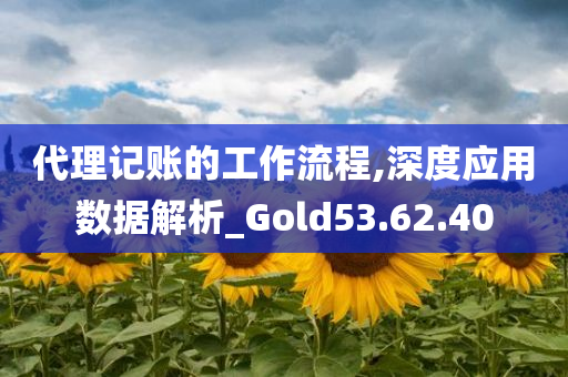 代理记账的工作流程,深度应用数据解析_Gold53.62.40