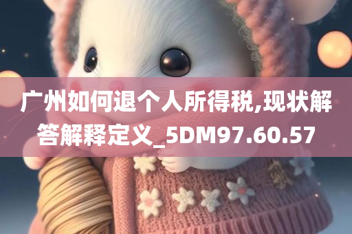 广州如何退个人所得税,现状解答解释定义_5DM97.60.57