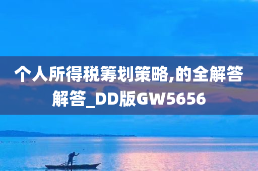 个人所得税筹划策略,的全解答解答_DD版GW5656