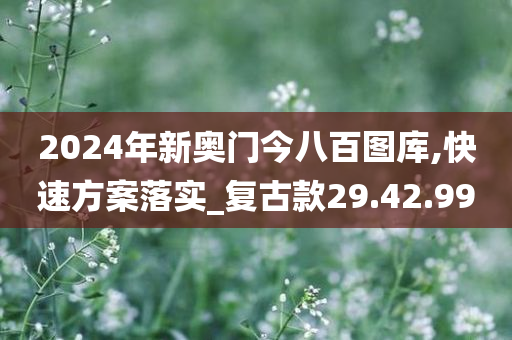 2024年新奥门今八百图库,快速方案落实_复古款29.42.99