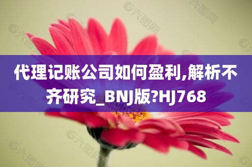 代理记账公司如何盈利,解析不齐研究_BNJ版?HJ768