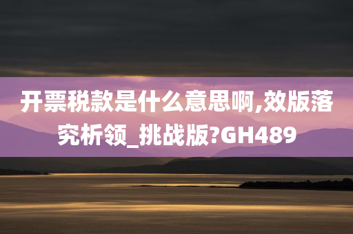 开票税款是什么意思啊,效版落究析领_挑战版?GH489