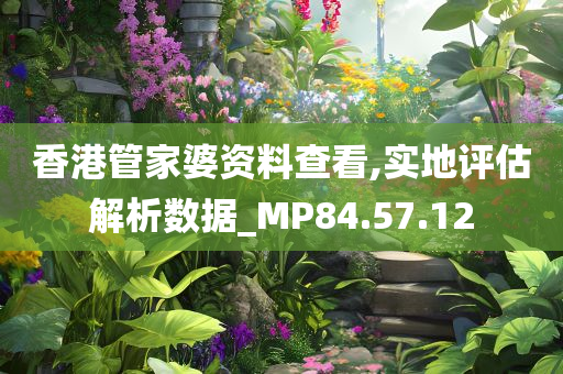 香港管家婆资料查看,实地评估解析数据_MP84.57.12