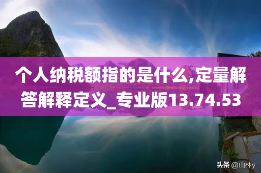 个人纳税额指的是什么,定量解答解释定义_专业版13.74.53