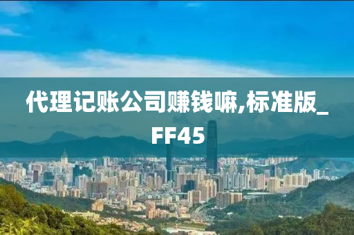 代理记账公司赚钱嘛,标准版_FF45