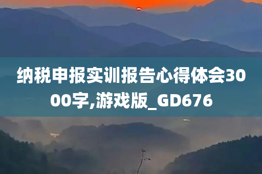 纳税申报实训报告心得体会3000字,游戏版_GD676