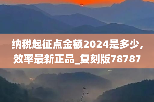 纳税起征点金额2024是多少,效率最新正品_复刻版78787