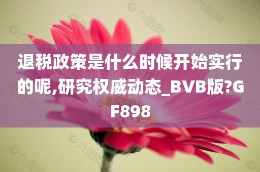 退税政策是什么时候开始实行的呢,研究权威动态_BVB版?GF898