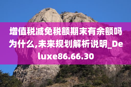 增值税减免税额期末有余额吗为什么,未来规划解析说明_Deluxe86.66.30