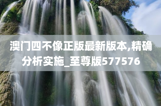 澳门四不像正版最新版本,精确分析实施_至尊版577576