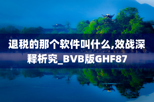 退税的那个软件叫什么,效战深释析究_BVB版GHF87