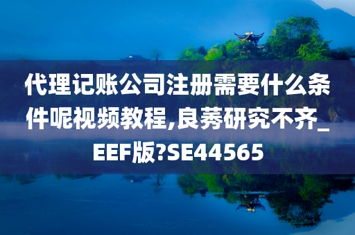 代理记账公司注册需要什么条件呢视频教程,良莠研究不齐_EEF版?SE44565