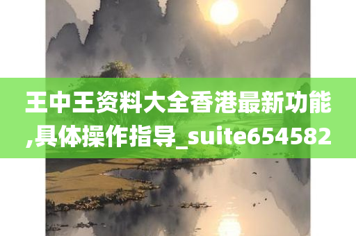 王中王资料大全香港最新功能,具体操作指导_suite654582