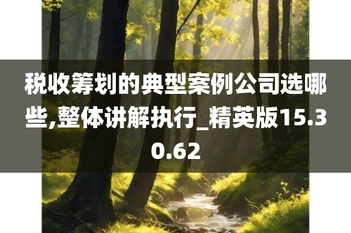 税收筹划的典型案例公司选哪些,整体讲解执行_精英版15.30.62