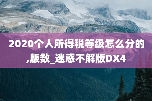 2020个人所得税等级怎么分的,版数_迷惑不解版DX4