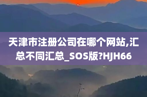 天津市注册公司在哪个网站,汇总不同汇总_SOS版?HJH66