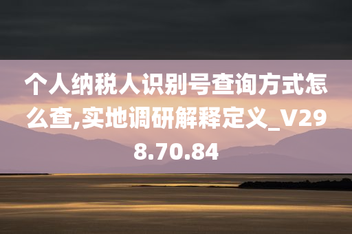 个人纳税人识别号查询方式怎么查,实地调研解释定义_V298.70.84