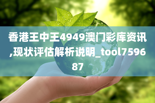 香港王中王4949澳门彩库资讯,现状评估解析说明_tool759687