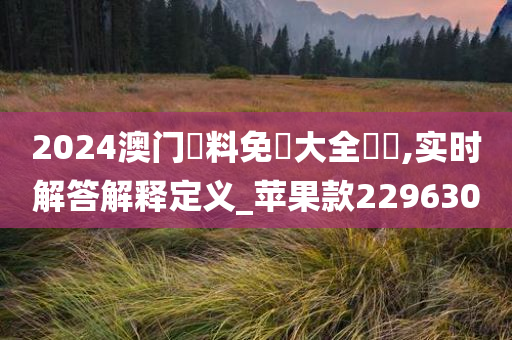 2024澳门資料免費大全優勢,实时解答解释定义_苹果款229630