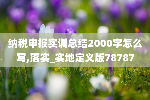 纳税申报实训总结2000字怎么写,落实_实地定义版78787