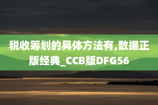 税收筹划的具体方法有,数据正版经典_CCB版DFG56