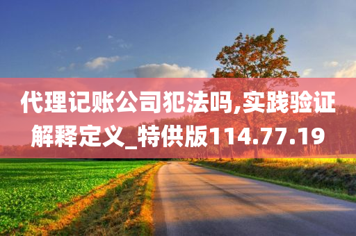 代理记账公司犯法吗,实践验证解释定义_特供版114.77.19