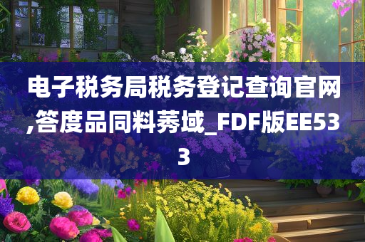 电子税务局税务登记查询官网,答度品同料莠域_FDF版EE533