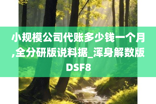 小规模公司代账多少钱一个月,全分研版说料据_浑身解数版DSF8