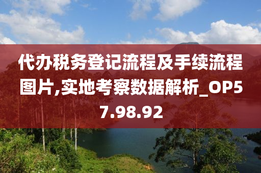 代办税务登记流程及手续流程图片,实地考察数据解析_OP57.98.92