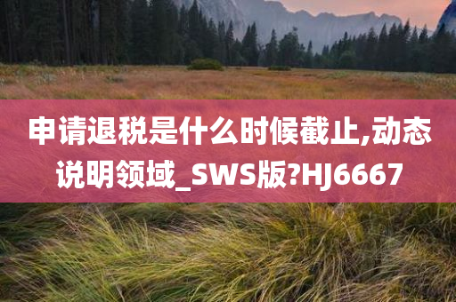 申请退税是什么时候截止,动态说明领域_SWS版?HJ6667