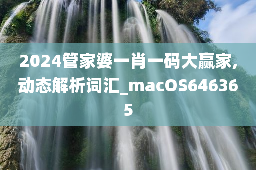 2024管家婆一肖一码大赢家,动态解析词汇_macOS646365