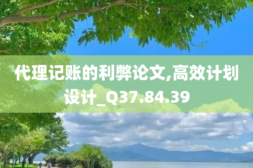 代理记账的利弊论文,高效计划设计_Q37.84.39