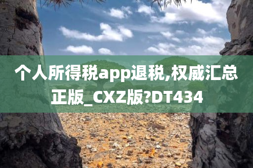 个人所得税app退税,权威汇总正版_CXZ版?DT434