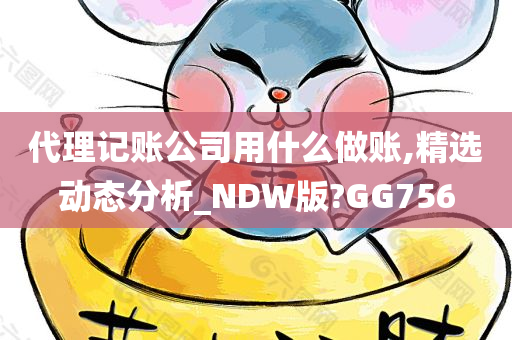 代理记账公司用什么做账,精选动态分析_NDW版?GG756