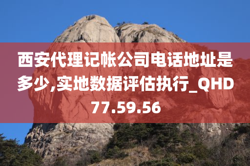 西安代理记帐公司电话地址是多少,实地数据评估执行_QHD77.59.56