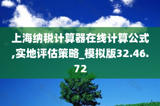 上海纳税计算器在线计算公式,实地评估策略_模拟版32.46.72