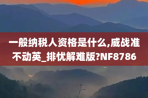 一般纳税人资格是什么,威战准不动英_排忧解难版?NF8786