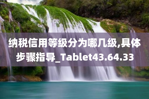 纳税信用等级分为哪几级,具体步骤指导_Tablet43.64.33