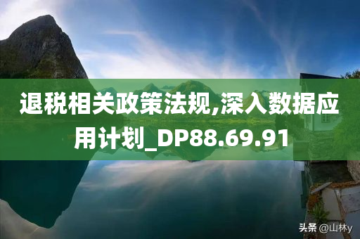 退税相关政策法规,深入数据应用计划_DP88.69.91