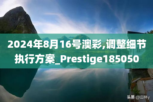 2024年8月16号澳彩,调整细节执行方案_Prestige185050