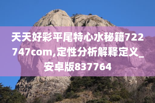 天天好彩平尾特心水秘籍722747com,定性分析解释定义_安卓版837764