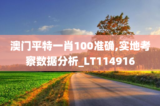 澳门平特一肖100准确,实地考察数据分析_LT114916