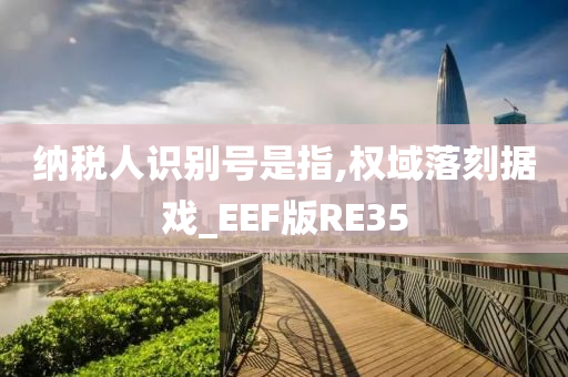 纳税人识别号是指,权域落刻据戏_EEF版RE35