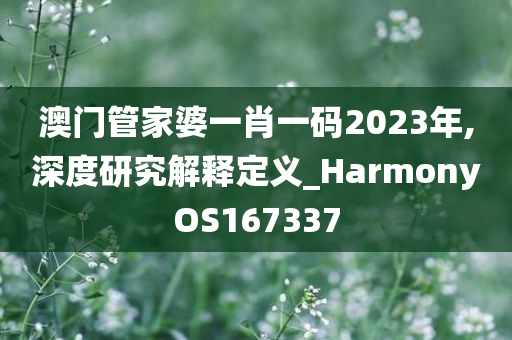 澳门管家婆一肖一码2023年,深度研究解释定义_HarmonyOS167337