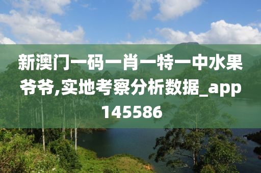 新澳门一码一肖一特一中水果爷爷,实地考察分析数据_app145586