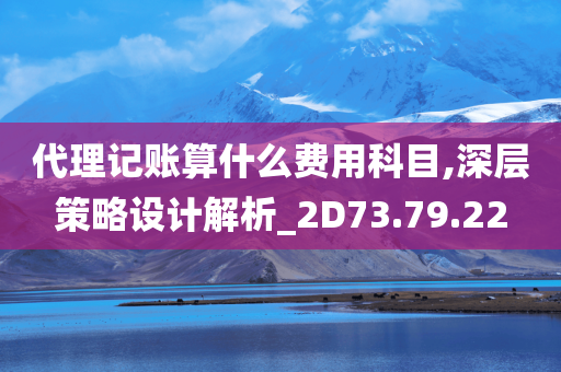 代理记账算什么费用科目,深层策略设计解析_2D73.79.22