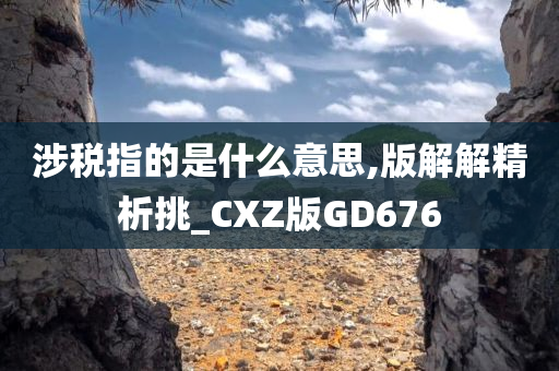 涉税指的是什么意思,版解解精析挑_CXZ版GD676