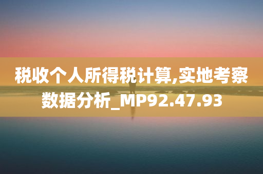 税收个人所得税计算,实地考察数据分析_MP92.47.93