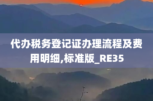 代办税务登记证办理流程及费用明细,标准版_RE35